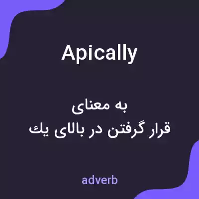 معنی apically به فارسی معنی apically به فارسی