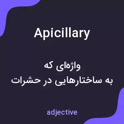 معنی apicillary به فارسی معنی apicillary به فارسی