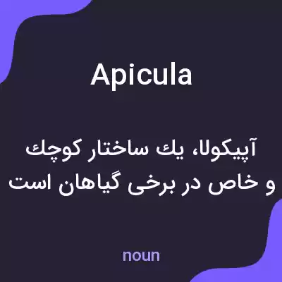 معنی apicula به فارسی معنی apicula به فارسی