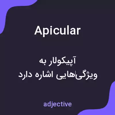 معنی apicular به فارسی معنی apicular به فارسی