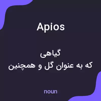 معنی apios به فارسی معنی apios به فارسی