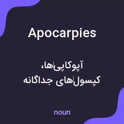 معنی apocarpies به فارسی معنی apocarpies به فارسی