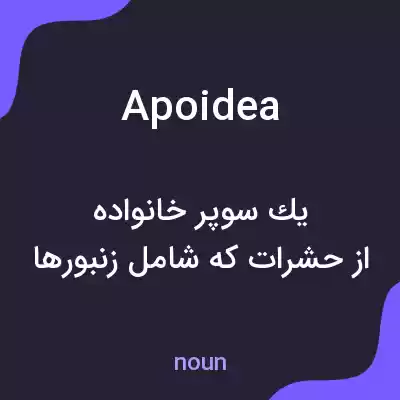 معنی apoidea به فارسی