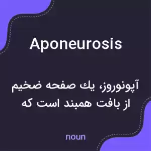 معنی aponeurosis به فارسی معنی aponeurosis به فارسی