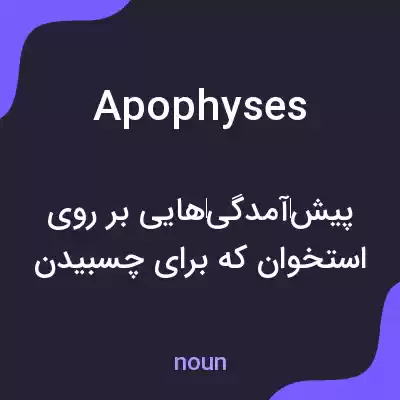 معنی apophyses به فارسی