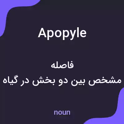معنی apopyle به فارسی معنی apopyle به فارسی