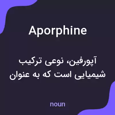معنی aporphine به فارسی معنی aporphine به فارسی