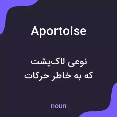 معنی aportoise به فارسی معنی aportoise به فارسی