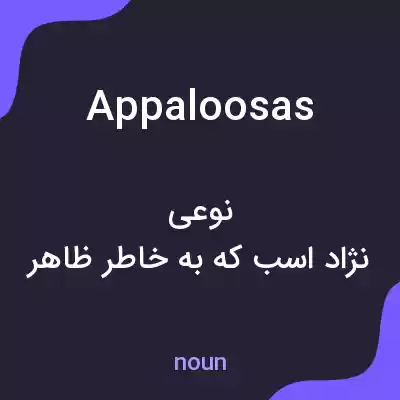 معنی appaloosas به فارسی