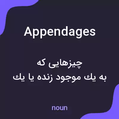 معنی appendages به فارسی معنی appendages به فارسی