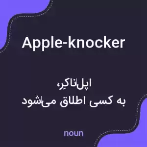 معنی apple-knocker به فارسی