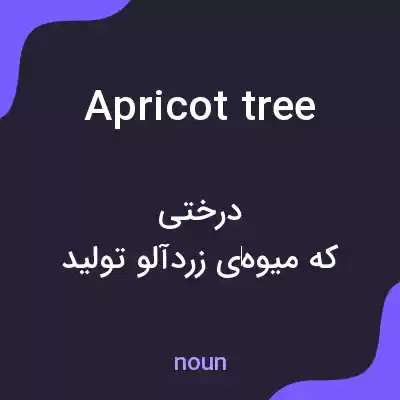 معنی apricot tree به فارسی معنی apricot tree به فارسی