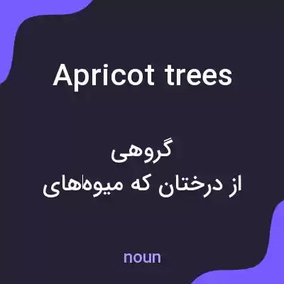 معنی apricot trees به فارسی معنی apricot trees به فارسی