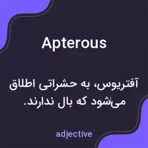 معنی apterous به فارسی معنی apterous به فارسی