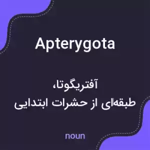 معنی apterygota به فارسی معنی apterygota به فارسی
