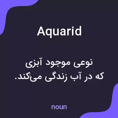 معنی aquarid به فارسی معنی aquarid به فارسی