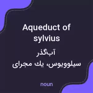 معنی aqueduct of sylvius به فارسی معنی aqueduct of sylvius به فارسی