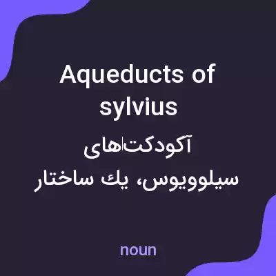 معنی aqueducts of sylvius به فارسی