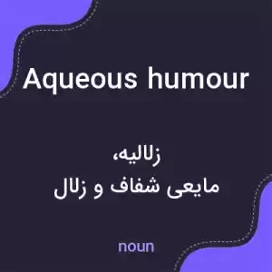معنی aqueous humour به فارسی