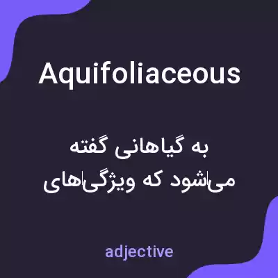 معنی aquifoliaceous به فارسی معنی aquifoliaceous به فارسی