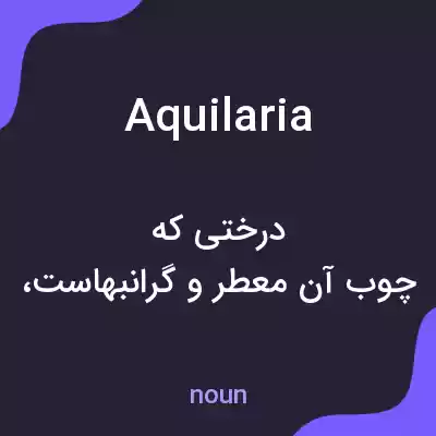 معنی aquilaria به فارسی معنی aquilaria به فارسی