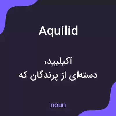 معنی aquilid به فارسی معنی aquilid به فارسی