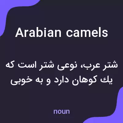 معنی arabian camels به فارسی معنی arabian camels به فارسی