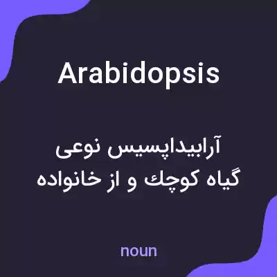 معنی arabidopsis به فارسی معنی arabidopsis به فارسی