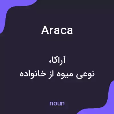 معنی araca به فارسی معنی araca به فارسی