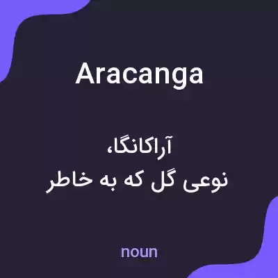 معنی aracanga به فارسی