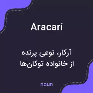 معنی aracari به فارسی
