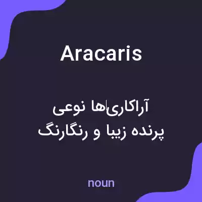 معنی aracaris به فارسی معنی aracaris به فارسی