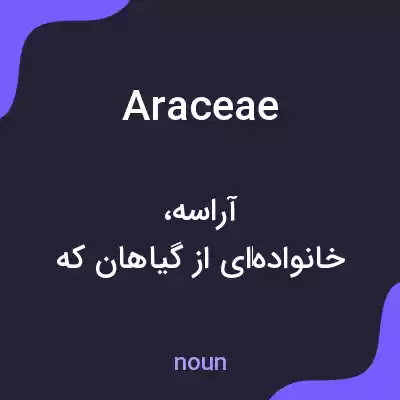 معنی araceae به فارسی معنی araceae به فارسی