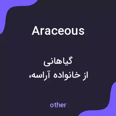 معنی araceous به فارسی معنی araceous به فارسی
