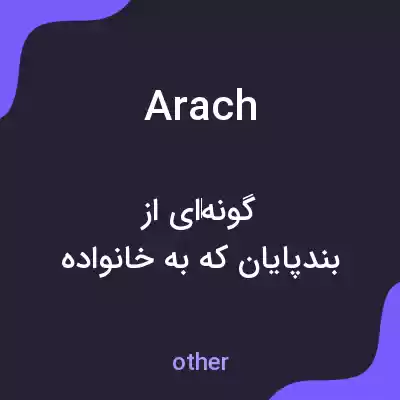معنی arach به فارسی معنی arach به فارسی