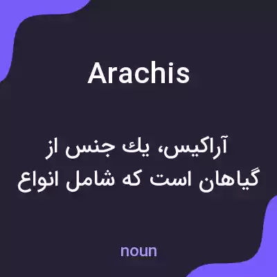 معنی arachis به فارسی