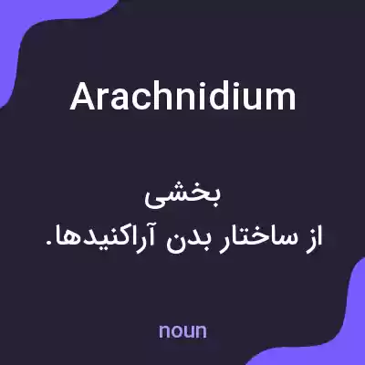 معنی arachnidium به فارسی معنی arachnidium به فارسی