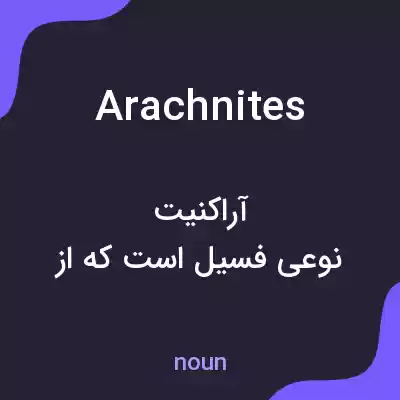 معنی arachnites به فارسی معنی arachnites به فارسی