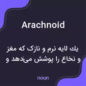 معنی arachnoid به فارسی معنی arachnoid به فارسی
