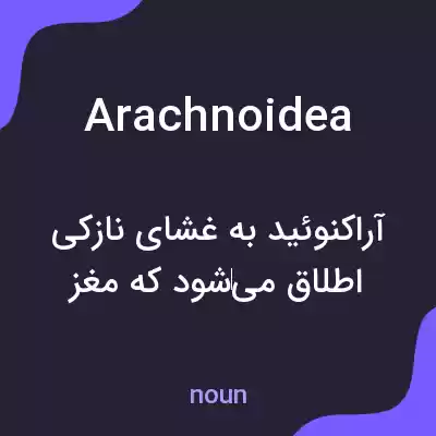 معنی arachnoidea به فارسی معنی arachnoidea به فارسی