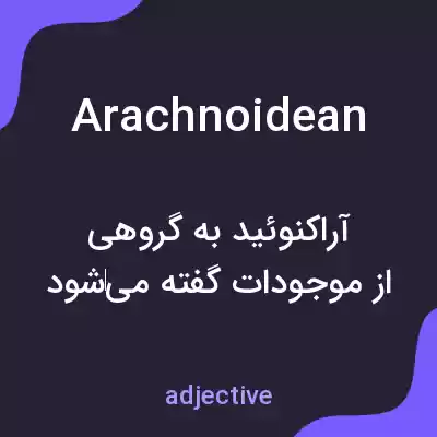 معنی arachnoidean به فارسی
