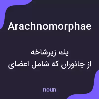 معنی arachnomorphae به فارسی معنی arachnomorphae به فارسی