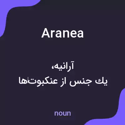 معنی aranea به فارسی معنی aranea به فارسی