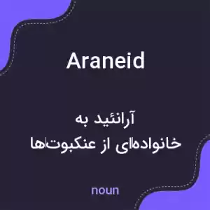 معنی araneid به فارسی معنی araneid به فارسی