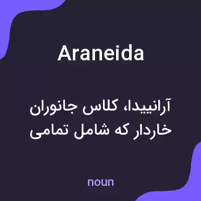 معنی araneida به فارسی معنی araneida به فارسی