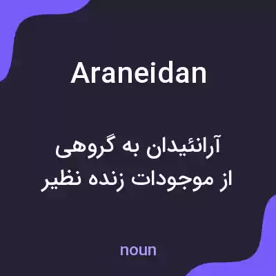 معنی araneidan به فارسی معنی araneidan به فارسی