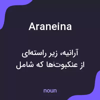 معنی araneina به فارسی معنی araneina به فارسی