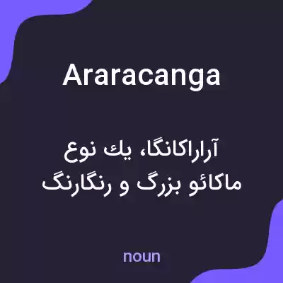 معنی araracanga به فارسی معنی araracanga به فارسی