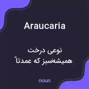 معنی araucaria به فارسی معنی araucaria به فارسی