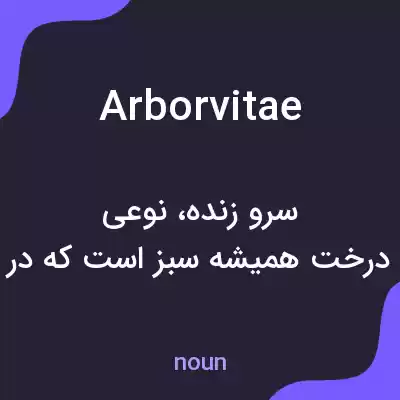 معنی arborvitae به فارسی معنی arborvitae به فارسی